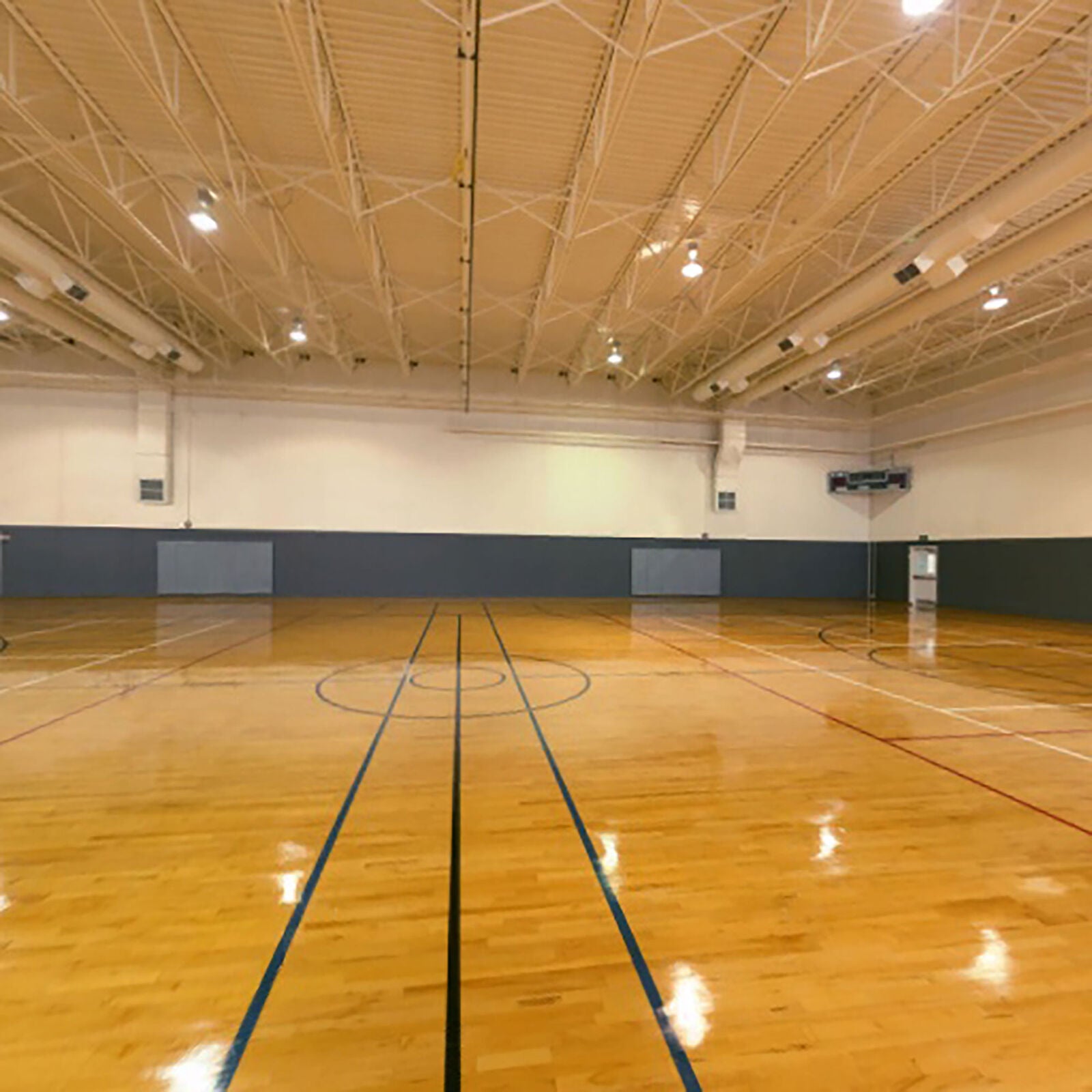 RealFlight Trainer Edition Flight Simulator w/WS2000 Wireless USB Dongle