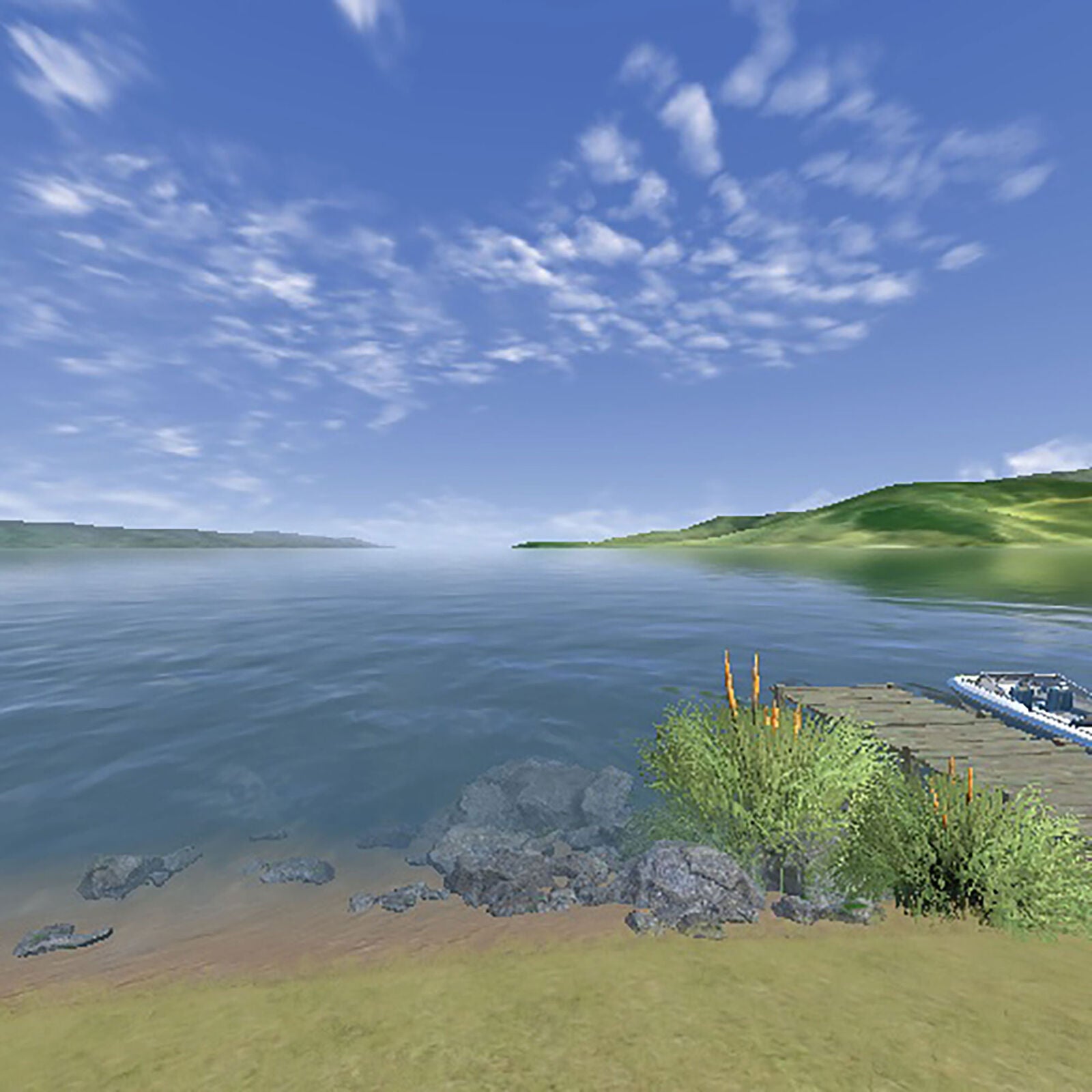 RealFlight Trainer Edition Flight Simulator w/WS2000 Wireless USB Dongle