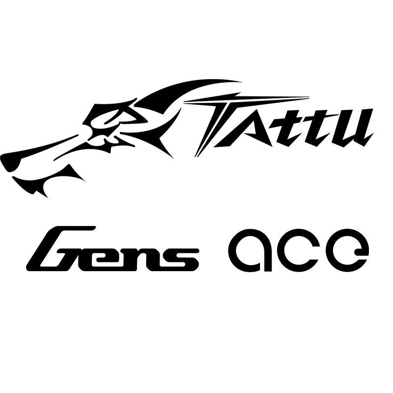 Gens Ace