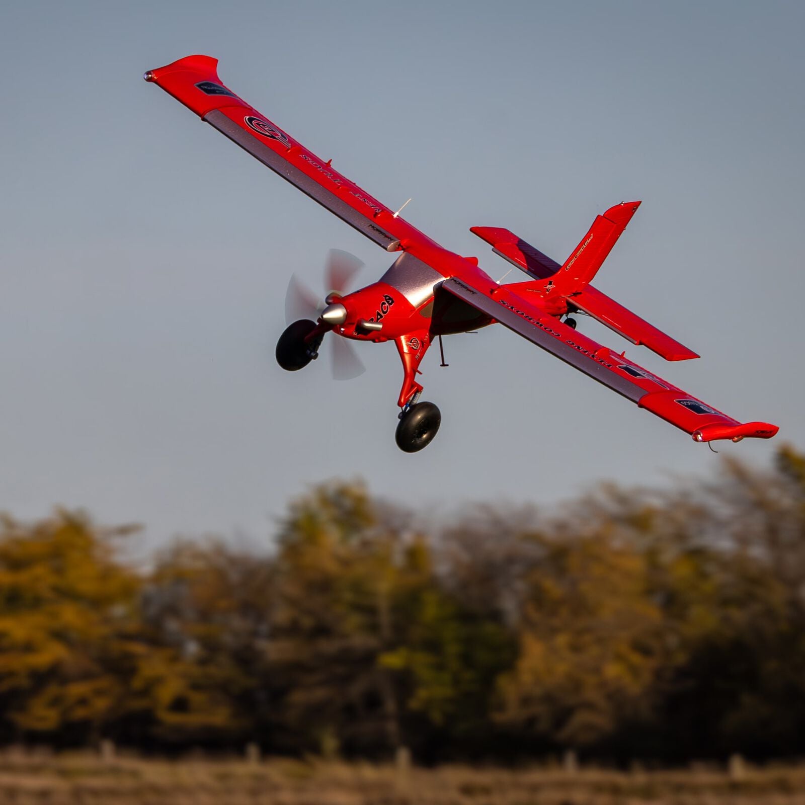 E-flite Micro DRACO Bind-N-Fly Basic Electric Airplane (800mm) w/AS3X & SAFE Select