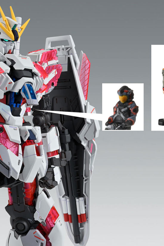 Bandai MG 1/100 Narrative Gundam C-Packs (Ver. Ka) 