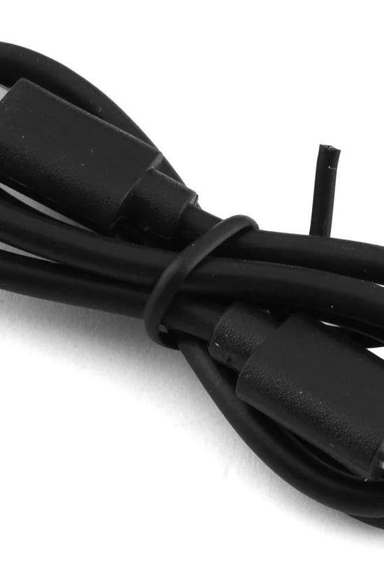 Spektrum RC S100 DC/USB 4S LiPo Smart Charger